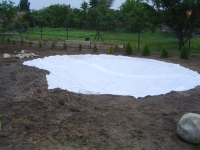 Foltex